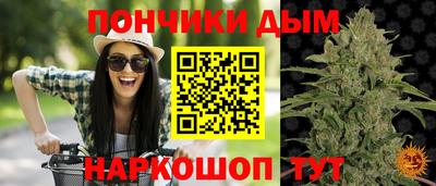 МДПВ Будённовск