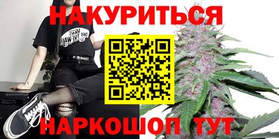 МДПВ Будённовск