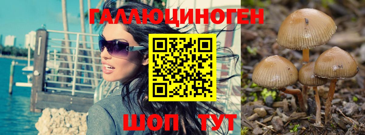 Псилоцибиновые грибы GOLDEN TEACHER Псков
