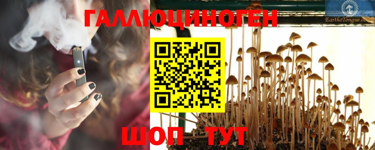 Псилоцибиновые грибы мухоморы  Псилоцибиновые грибы прущие грибы  Вход с VPN  Псков 