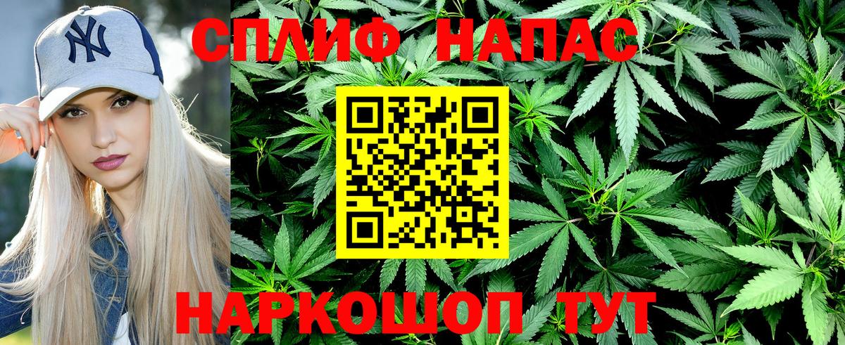 Бошки Шишки ГИДРОПОН Псков